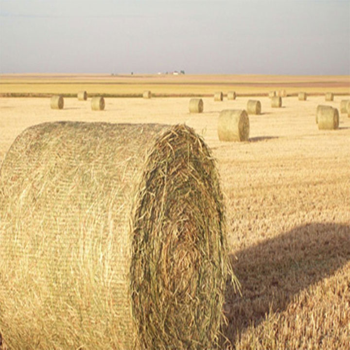 Lìon Bale Wrap Biodegradable HDPE airson Àiteachas